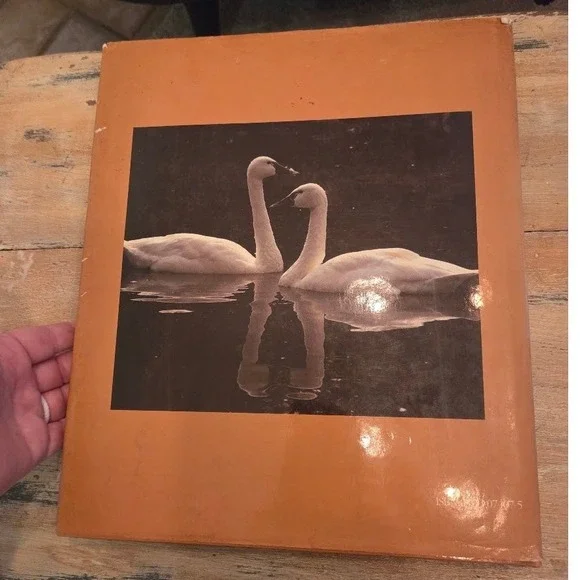 Birds of North America Peter N Casey Exeter Books Hardcover Photography Book - Picture 7 of 7